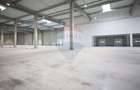 Hala de vanzare, Sc 7014mp, Zona Biharia - 14