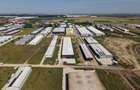 Hală Industrială P+1E | 8.000 mp teren | Acces A0 | DN2 | Afumați - 10