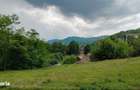 Casa de caramida la rosu, 3765mp teren intravilan, Valea Ariesului, AB - 7