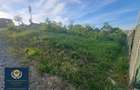 Teren intravilan 1000mp, cu PUZ - 3