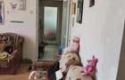 Vand urgent apartament 3 camere Campina! - 7
