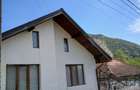Casa la munte cu parau in curte,in localitatea Nojag.la 18 km.de DEVA - 8