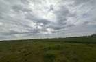 Teren intravilan de 7700 mp, în Popești-Leordeni - 3 Teren intravilan de 7700 mp, în Popești-Leordeni - 3