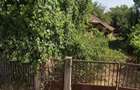 Teren de vanzare cu casa demolabila com Greaca jud Giurgiu - 2