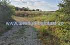 Teren de 350 mp, în Balotești - 14