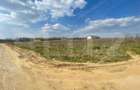 Teren 1000 mp, deschidere 23,80m, zona Selgros - 3
