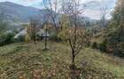 Vanzare teren intravilan - 5