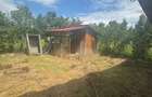 Casa la rosu - Valea Ghinzii + 5 ari teren - 17