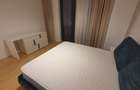 Apartament cu 3 camere decomandat în Iancu Nicolae - 11