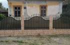 Casă cu 4 camere cu Teren 1600 Mp în Bistreț - 1