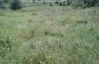 Casa 4 cam. in Vinga central - ID : RH-7723-property - 1