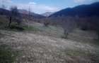 Teren superb in zona Geoagiu, Hunedoara - 6