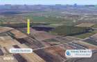Antony Estate | Oportunitate de investitie - Teren Cihei, langa Padure - 1