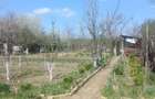 Gradina cu cabana la balastiera Micalaca - 1