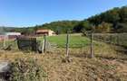 De vanzare Casa + Teren 3151m2 - 1