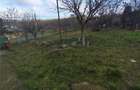 Teren intravilan Bucium 750mp - Trecatoarea Paun - 4