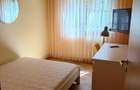 Proprietar inchiriez apartament pe termen lung zona Dacia 5 minute de Iulius mall (va rog fara agentii imobiliare) - 4