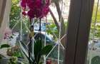 Apartament 4 camere-Aparatorii Patriei-Centrala proprie - 6