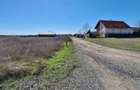 Teren Construcții intravilan de 786 mp, în Torontalului - 5