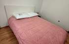 Apartament cu 2 camere decomandat în Nicolae Grigorescu - 10