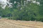 Teren intravilan 2.500 mp Re?i?a, DN58B - 8