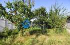 Casă cu 3 camere cu Canalizare în Mineri - 7 Casă cu 3 camere cu Canalizare în Mineri - 7