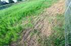 Teren intravilan de vanzare Stupini 88.000 eur 1200 mp. - 6