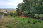 Teren intravilan in Breaza-- 2017 mp--50.000e - 2