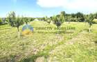 Hotel/Pensiune, de 25.71430015564 mp, în Girov - 9