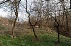 Teren Construcții de 1221 mp, în Budeasa Mică - 4