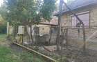 Casa cu teren intravilan de vanzare, loc. Mahaceni, Unirea, jud. Alba - 8