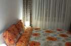 2 camere in zona Dumbravita - 2