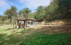 Casă cu 2 camere cu Teren 3857 Mp în Brad - 17