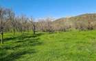 Vand teren in Com . Dumitresti, Jud. Vrancea - 7