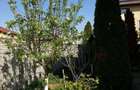 Proprietar inchiriez apartament cu 3 camere - 8