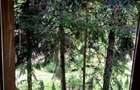 Vilă unică într-o oază de natură din centrul Brașovului | 180 mp | Teren 360 mp - 9