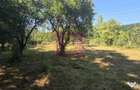 Teren intravilan de vanzare 3375 mp in Brebu - Brebu (Prahova)