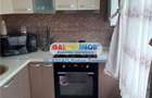 Apartament cu 2 camere în Banat - 8
