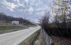 Vanzare teren 2100 mp, Mihaesti Barsesti, ideal casa sau investiti - 6