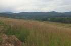 Teren de vanzare in Vladeni comuna Dumbravita Brasov - 3