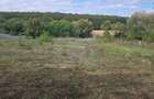 TEREN INTRAVILAN//COM. PLOPU//1300//2700 MP - 5
