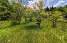 Comision 0%! Proprietate in natura, priveliste superba, S... - 16