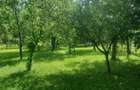 Teren de vanzare, Prahova, Comarnic, str. Podu Lung nr. 69, 1000mp - 1