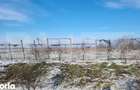 PROPRIETATE AGRICOLA PREMIUM 5 HECTARE CU LIVADA DE NUCI (CHANDL - 10