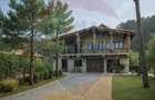 Lux Mediteranean si Intimitate pe 4000 mp Domeniu Privat Gura Vaii - 1