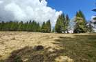 Teren intravilan, 3040 mp, Dealu Botii, com Belis, Comision 0 - 3