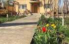 Vila spa?ioasa, complet mobilata, Branistari Giurgiu - 11