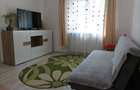 Apartament cu 3 camere semidecomandat zona Luptei - 5