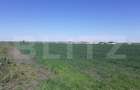 Teren intravilan de 30000 mp, în Central - 3