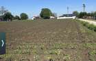 Teren Construcții intravilan de 1000 mp, în Sărulești-Gară - 4